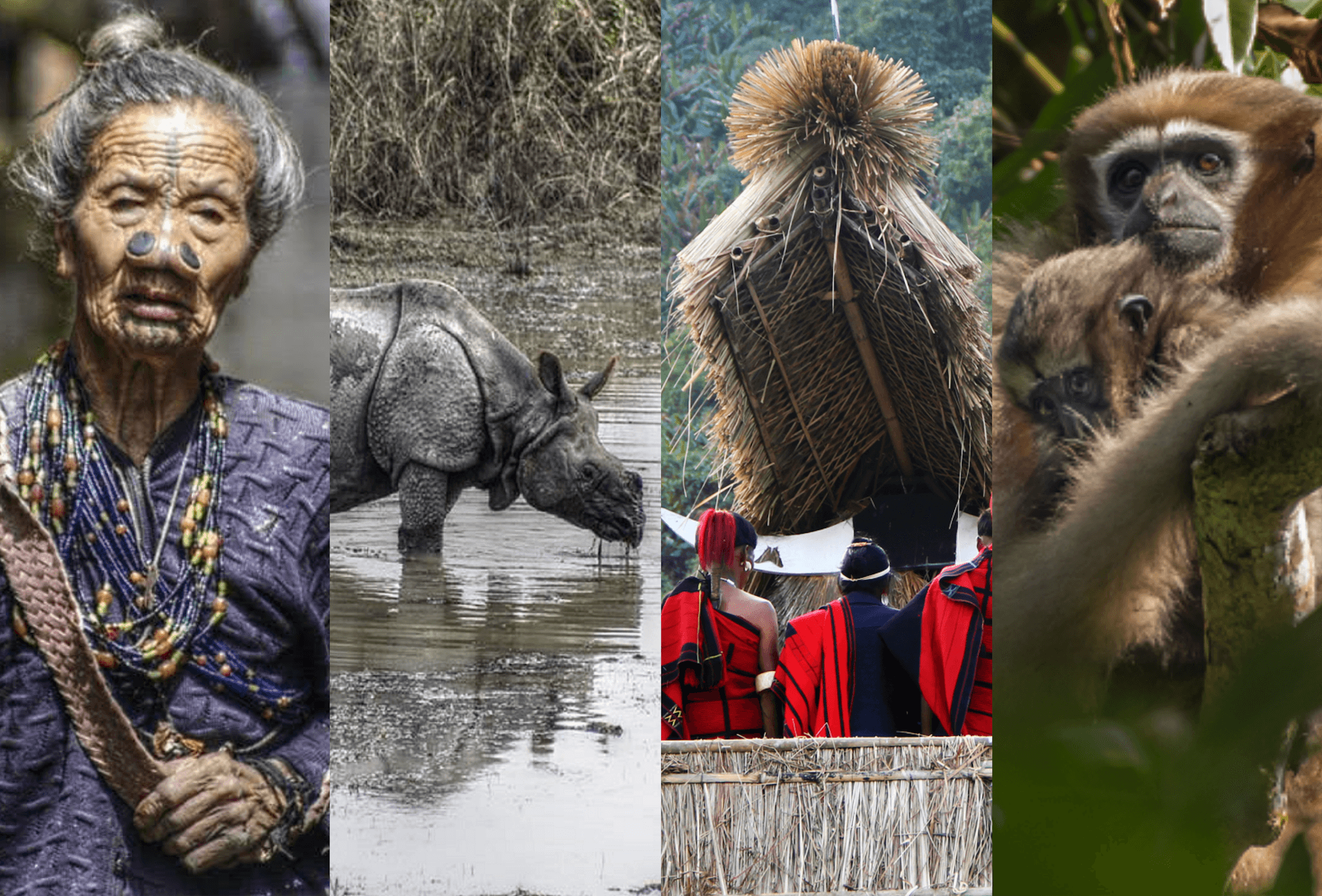 NATURE & CULTURE