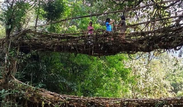 FAMILY ADVENTURE IN MEGHALAYA