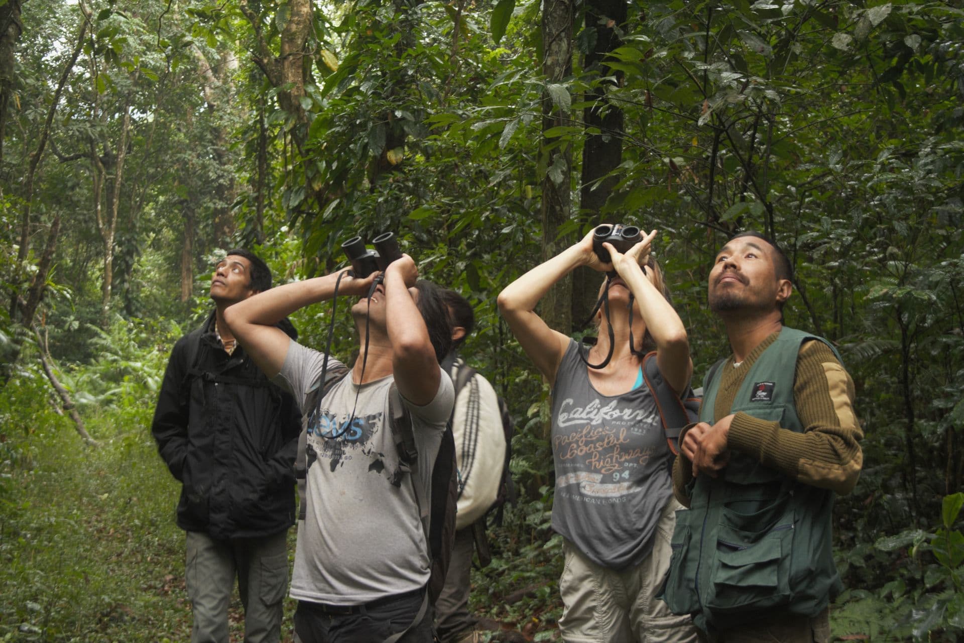 Trekking in Namdapha National Park