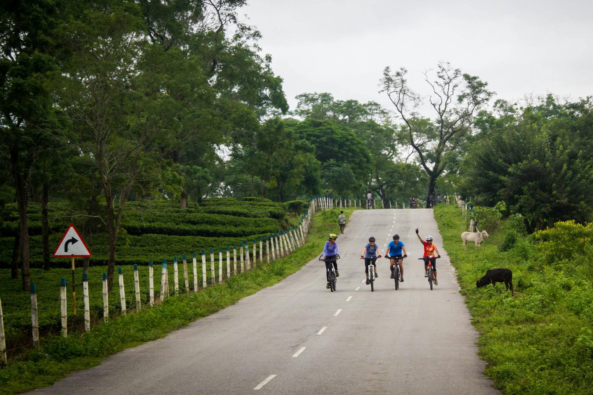 CYCLE TOUR OF ASSAM