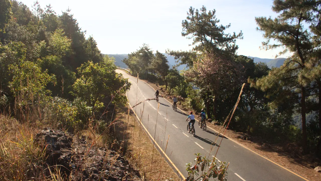 Cyclists descending a forested road in Meghalaya