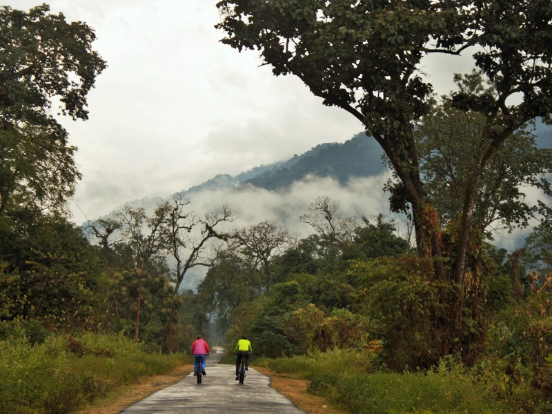 Cycling through green roads in Assam