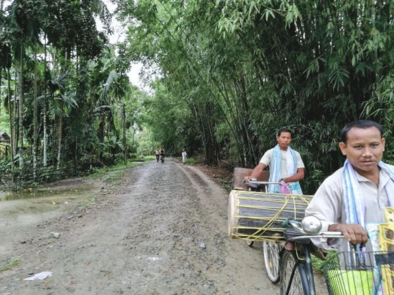 Village road cycling in Assam