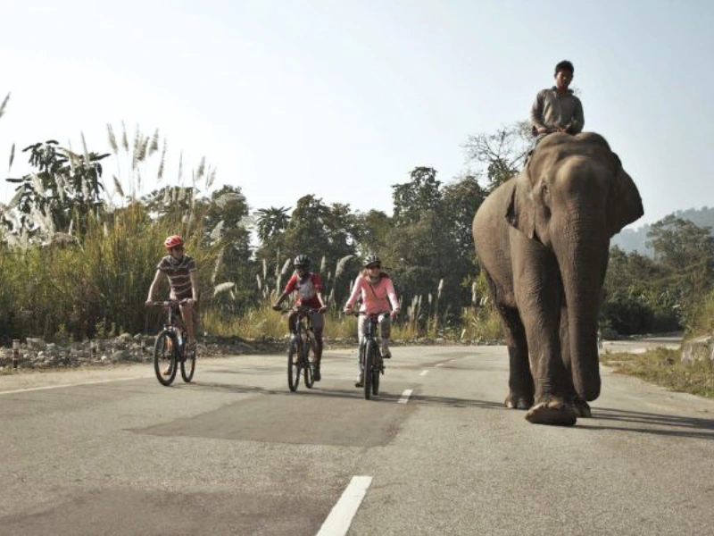Cyclists sharing the road in the Brahmaputra Valley