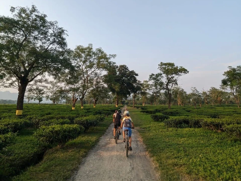 Cycling across a river landscape in Assam