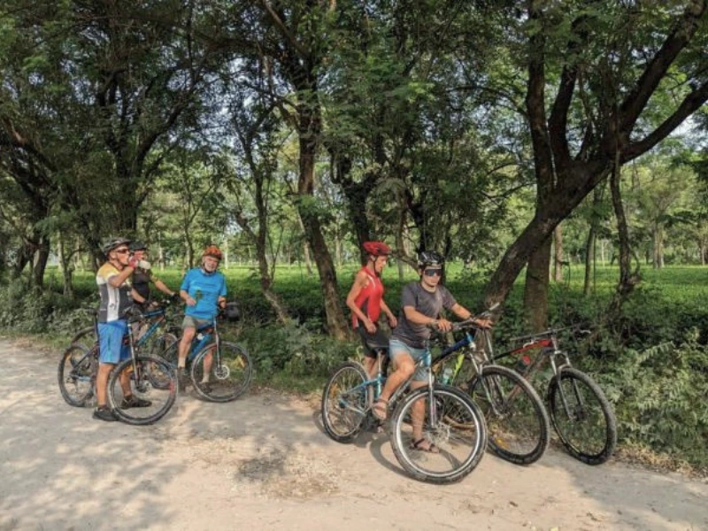 Cyclists resting under trees in Assam