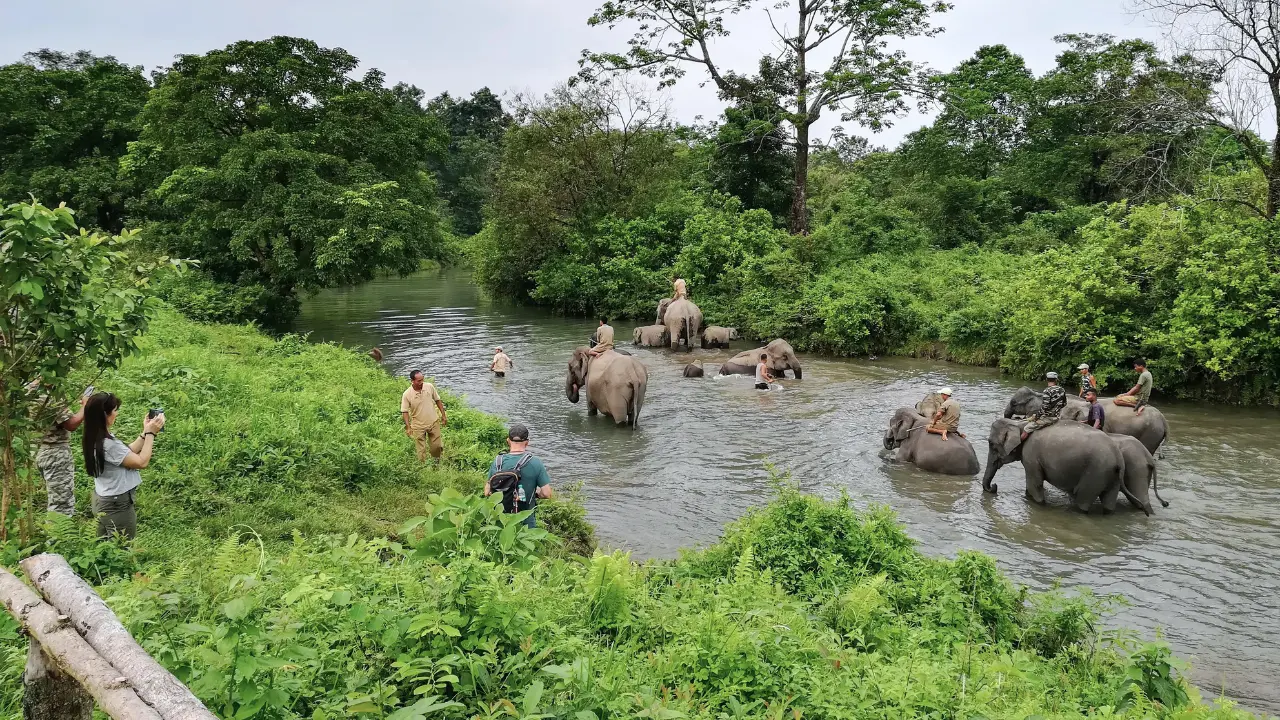 Multi-Activity Tour of Assam