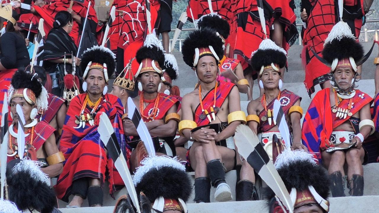 The Hornbill Express