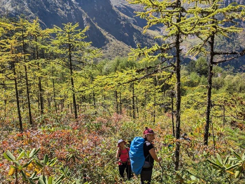 Trekkers moving through Aeyo Valley forest and mountain slopes