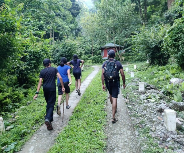 Youth group hiking through a rainforest trail in Arunachal Pradesh