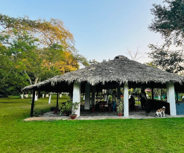 Thatched lodge garden stay on an Assam family tour