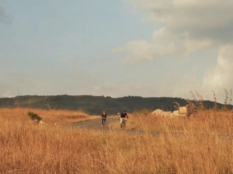 Cyclists riding through golden grassland in Meghalaya