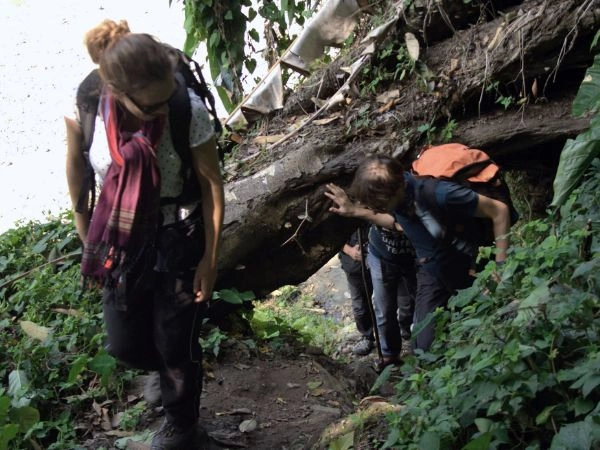 Hikers moving through jungle on an Arunachal Pradesh multi-activity tour
