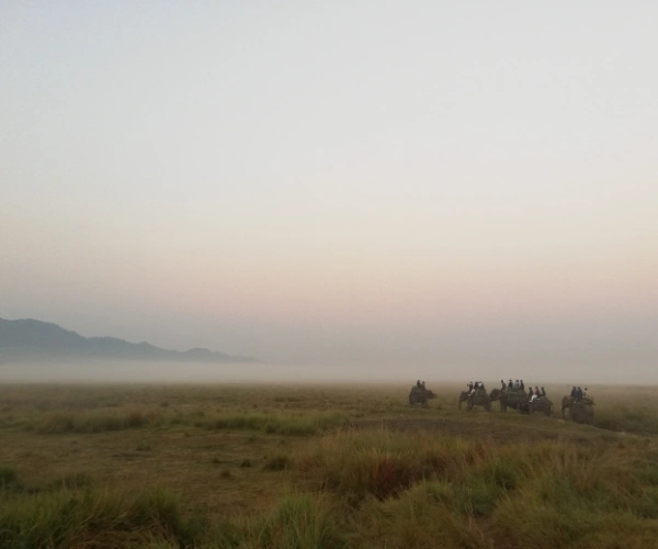 Jeep safari on a Meghalaya and Assam family nature holiday