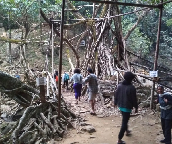 Young travellers learning about a living root bridge in Meghalaya