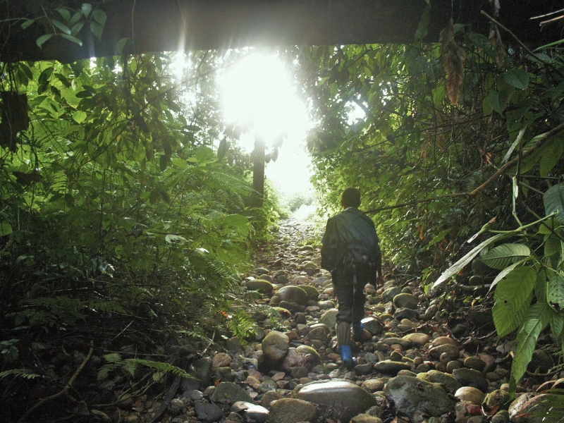 Walkers crossing the river into Namdapha National Park