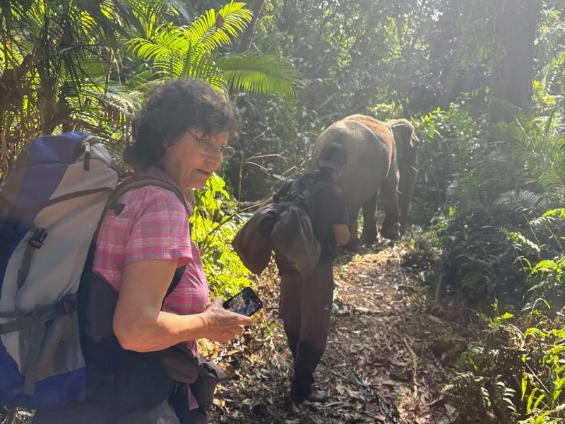 Trekking through dense Namdapha forest