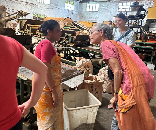 Travellers learning about tea production in Assam