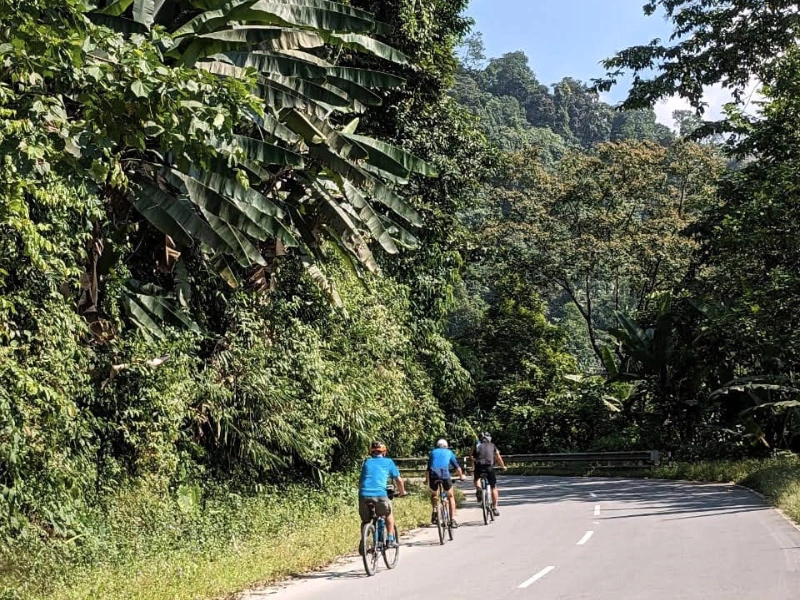 Cyclists riding through dense forest on the Road to Tawang tour