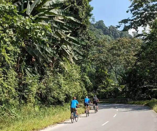 Cyclists riding on forest roads in western Arunachal during the fixed departure