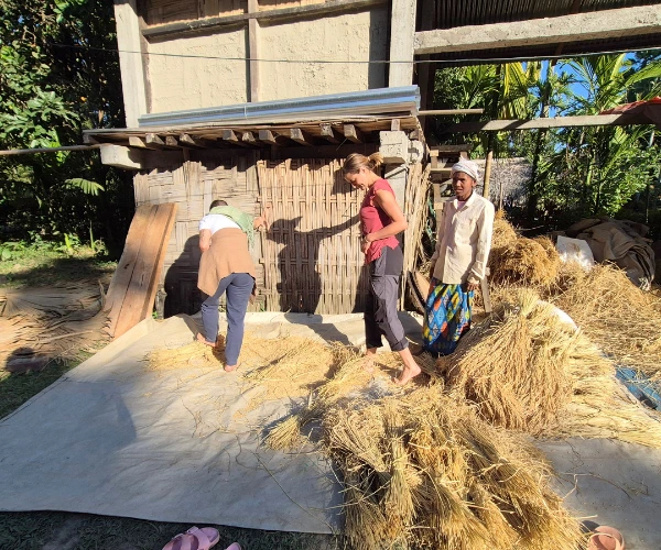 Travellers learning about village life and harvest traditions