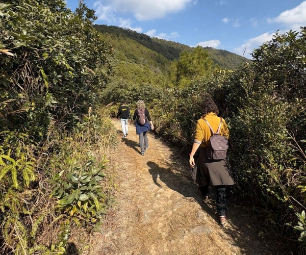 Walkers on a ridge trail in Meghalaya