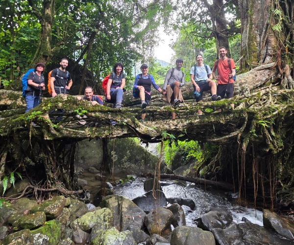 Group sitting on a living root bridge in Meghalaya