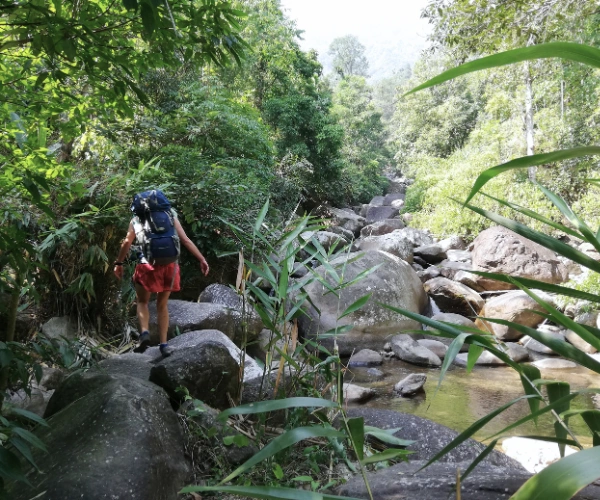 Walker crossing a rocky stream in Meghalaya