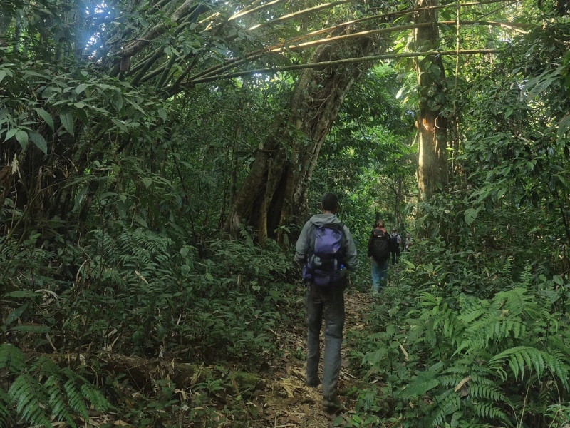 Walkers on a rainforest trail in Eastern Arunachal Pradesh