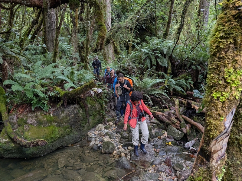 Walking group moving through mossy forest in Eastern Arunachal Pradesh