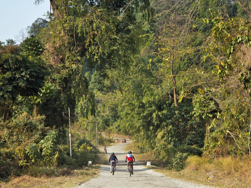 Two cyclists riding a forest road in Arunachal Pradesh