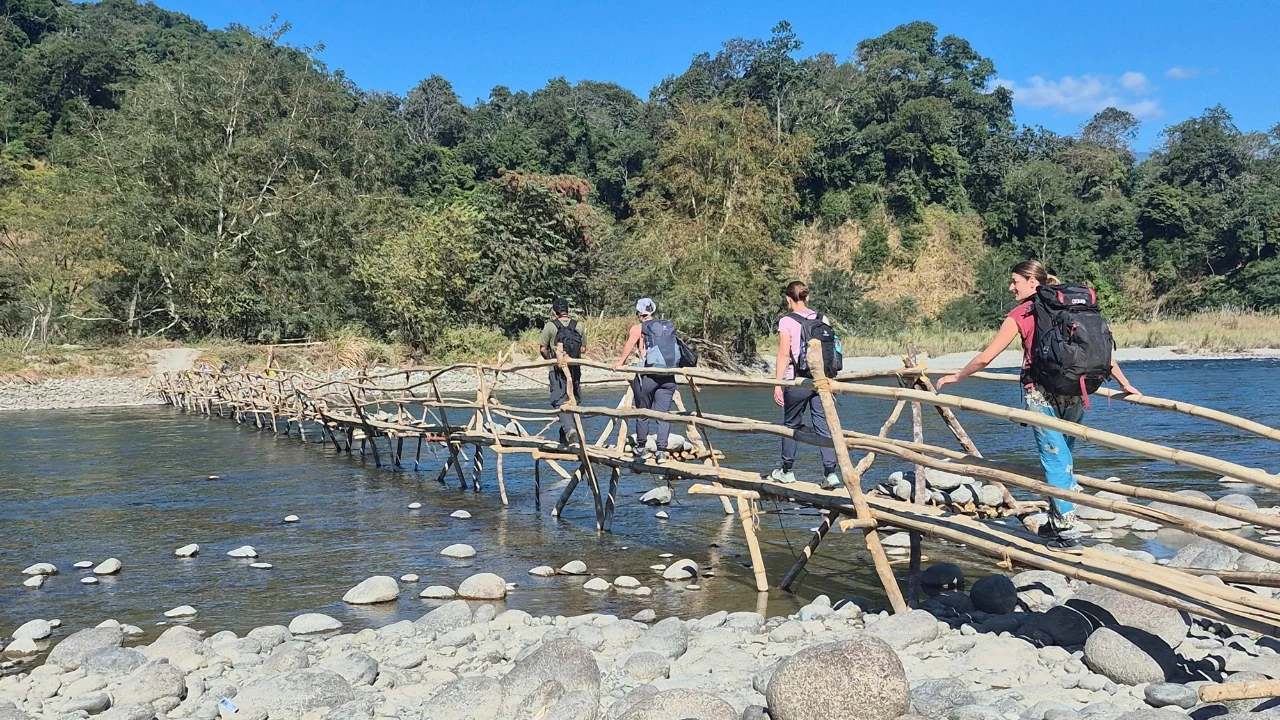 The Rainforest Trek