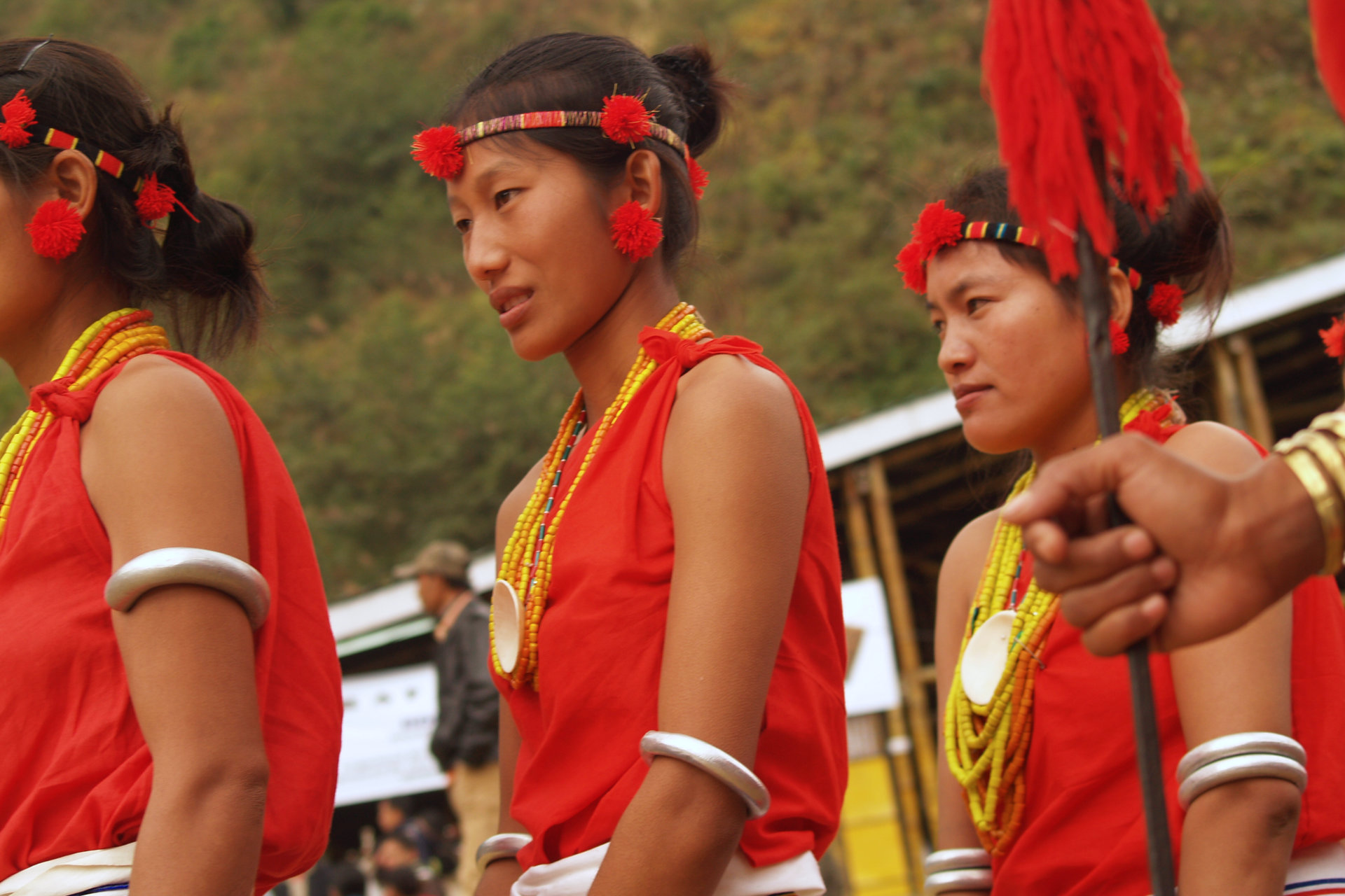 Hornbill Festival of Nagaland, India. Editorial Stock Image - Image of  culture, naga: 68516204